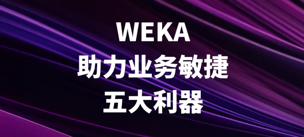 WEKA®助力企业业务敏捷发展的 5 大利器