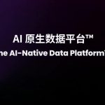 AI 原生数据平台 WEKA